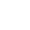 Surveying icon
