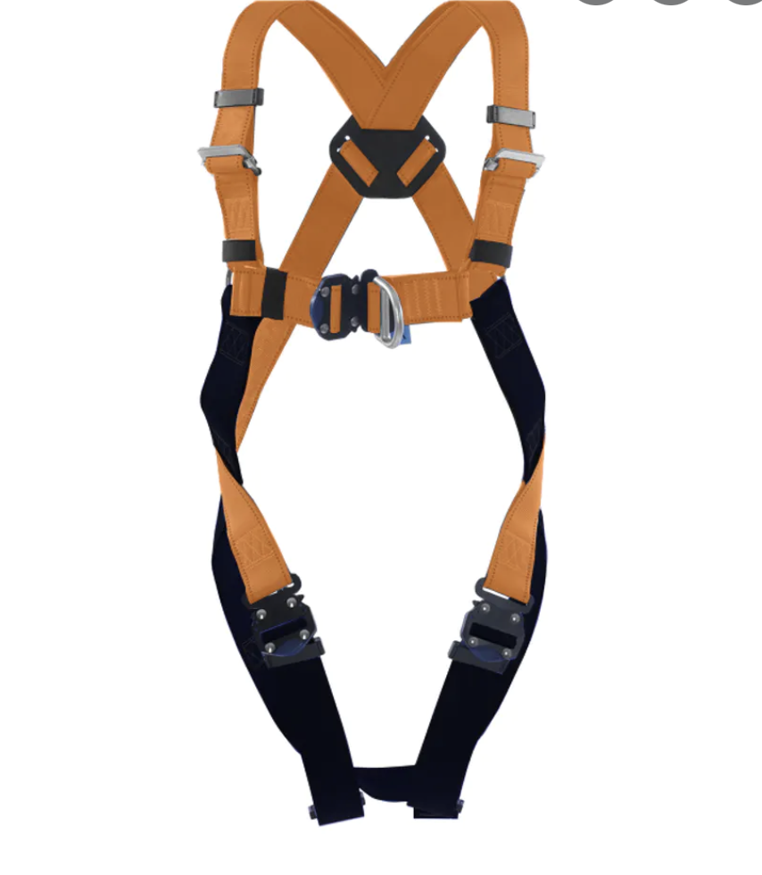 Safety Harness image