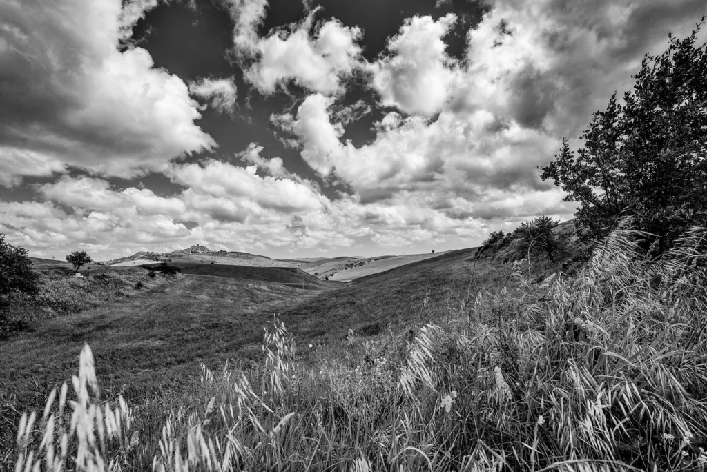 Rolling fields and meadows with cloudy sky in black and white