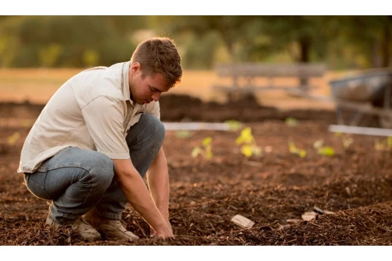 Man gardening in wood chipping soil